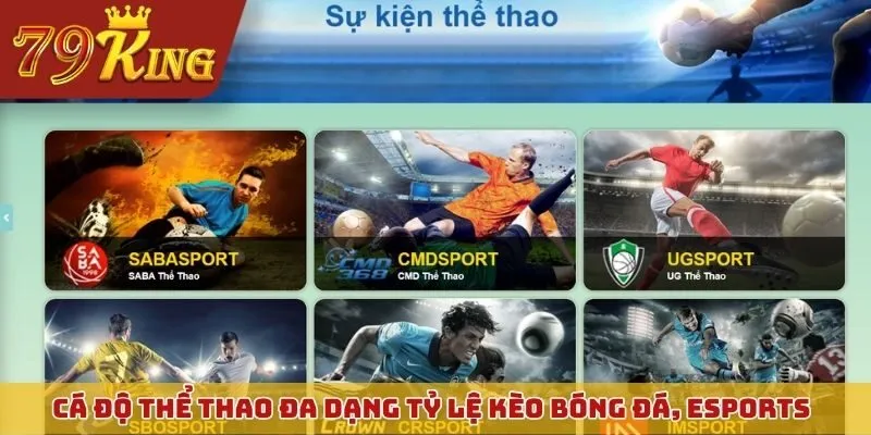 Cá độ thể thao đa dạng tỷ lệ kèo bóng đá, esports