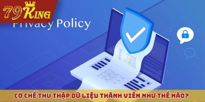 Cơ chế thu thập dữ liệu thành viên diễn ra như thế nào?